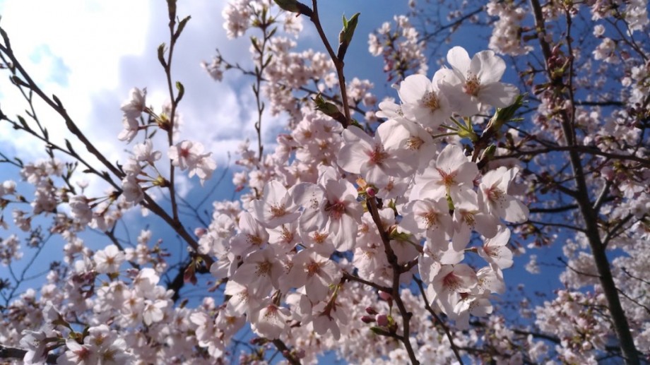 上野公園