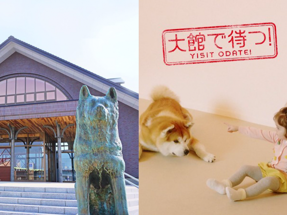 akita-dog-museum-odate