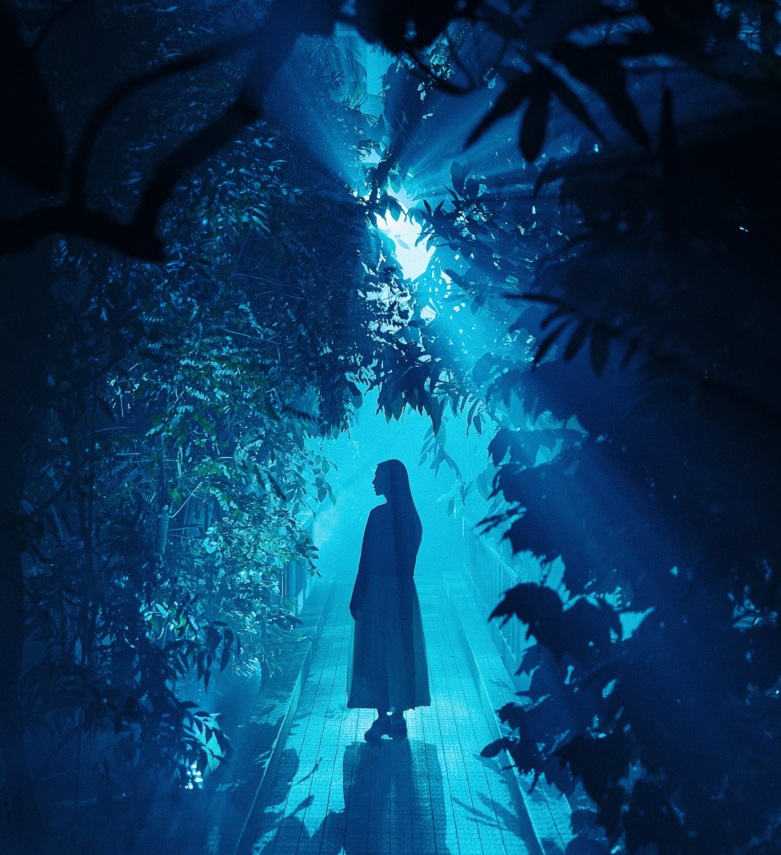 京都の夜、光と音が織りなす幻想空間へ～植物園で楽しむ没入型アート