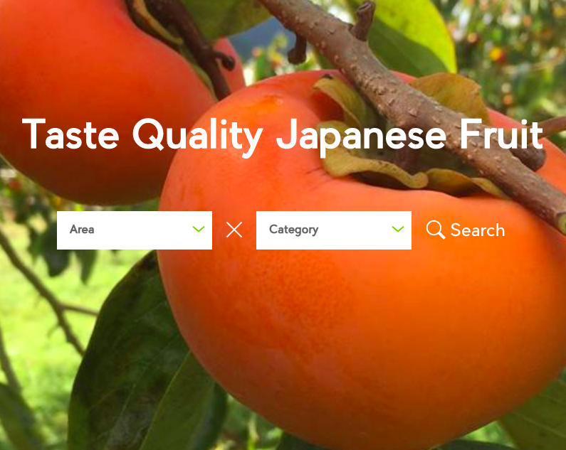 Harvesting Season of Japan Fruits Japan Shopping Now