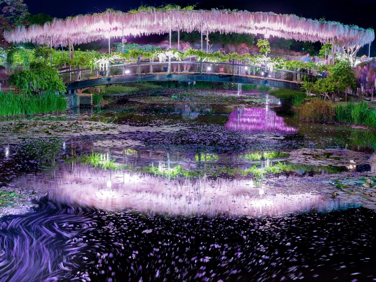 schneckenkorn compo Portland Garden – Schneckenkorn Natur – Knapkon main image 1