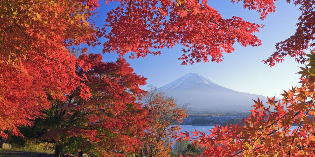 [Koshinetsu/Hokuriku edition] Japan’s spots for autumn leaves that you ...