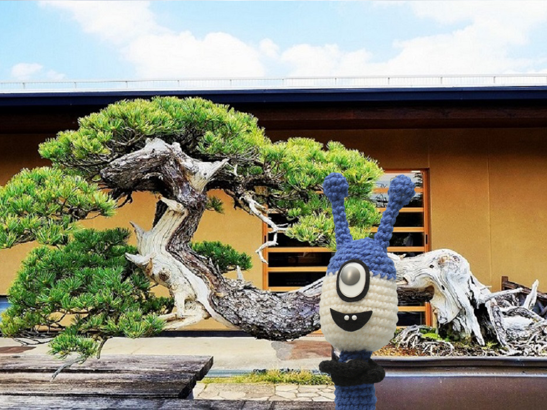 ツーリスト人気上昇中！盆栽村に行ってきた | Japan Shopping Now